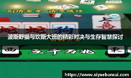 波斯野猫与坎斯大班的精彩对决与生存智慧探讨